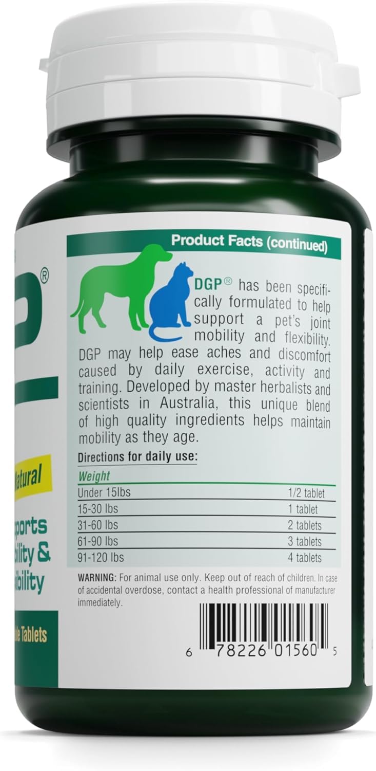 Chien actif bénéficiant du soutien mobilité avec American BioSciences DGP.