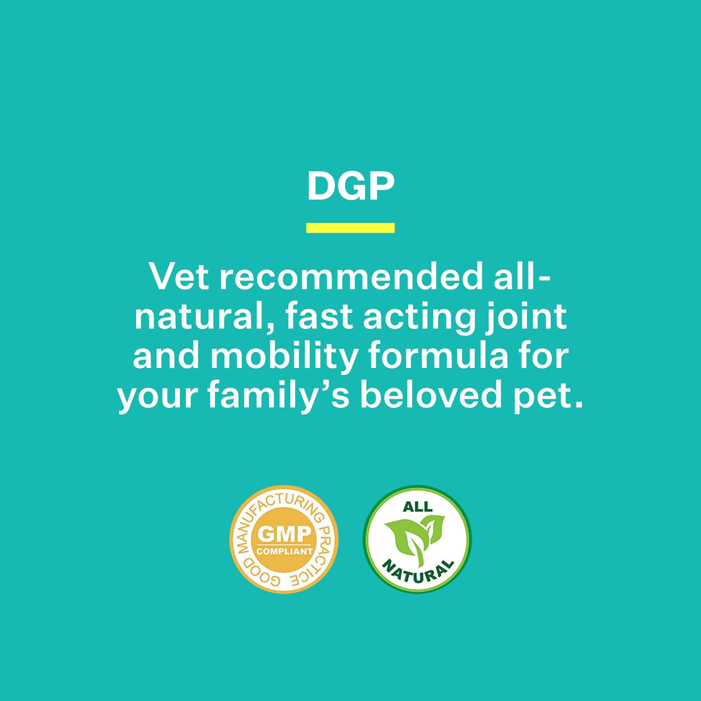American BioSciences DGP – utilisation quotidienne pour chien actif.