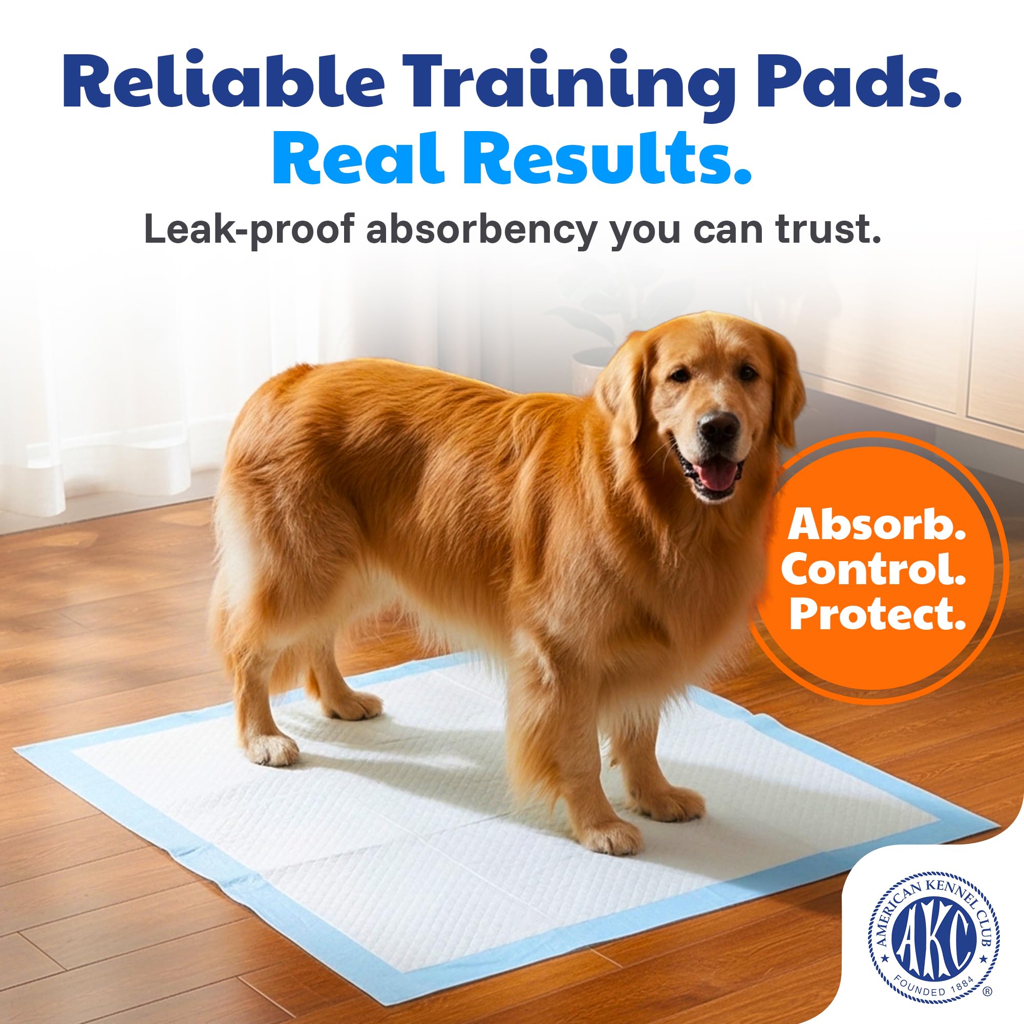 American Kennel Club pads d'entraînement - attractant intégré facilite l'apprentissage.