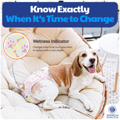 American Kennel Club Couche extérieure respirante pour un port agréable et moins d'irritations.