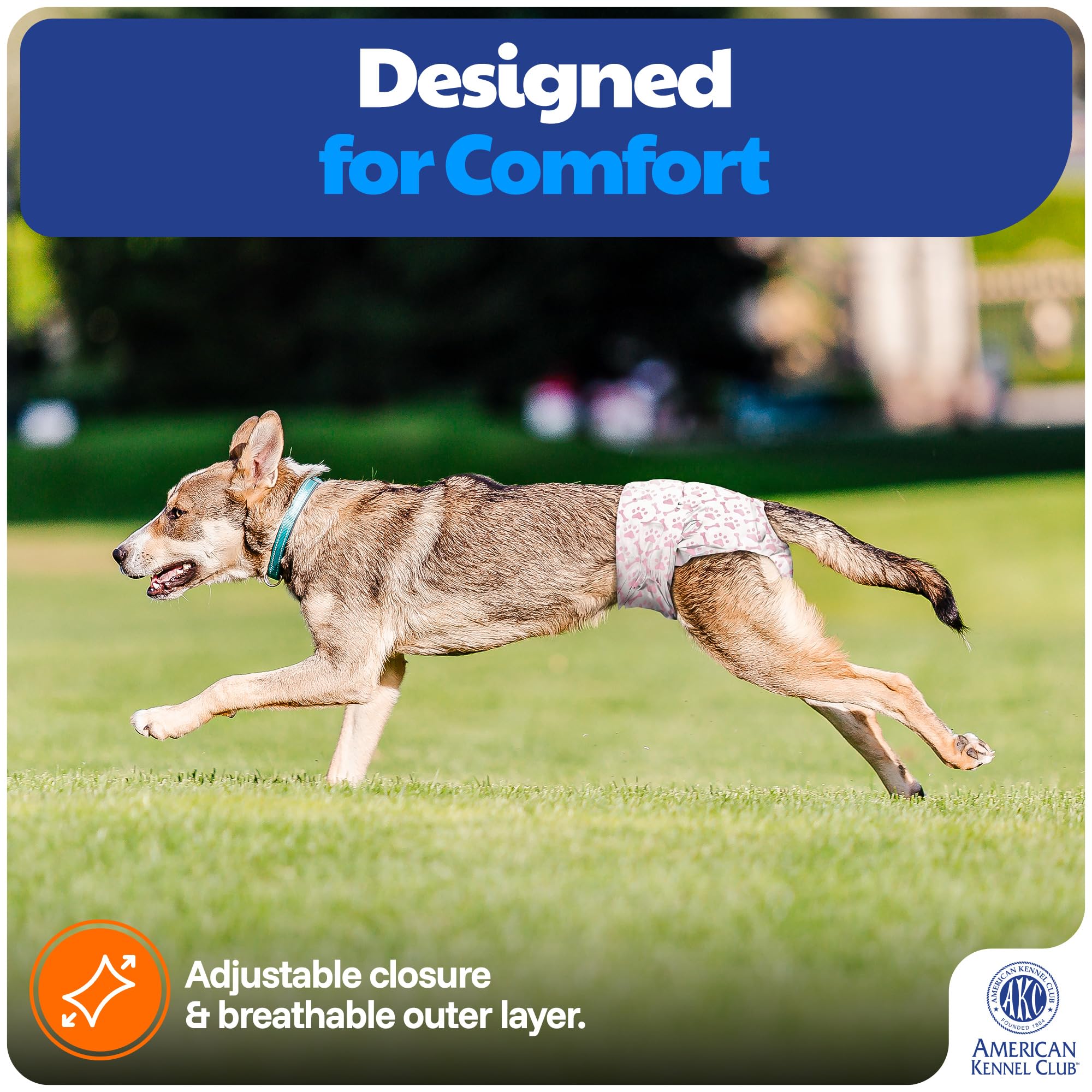 American Kennel Club Fermeture ajustable pour un ajustement sûr et précis.