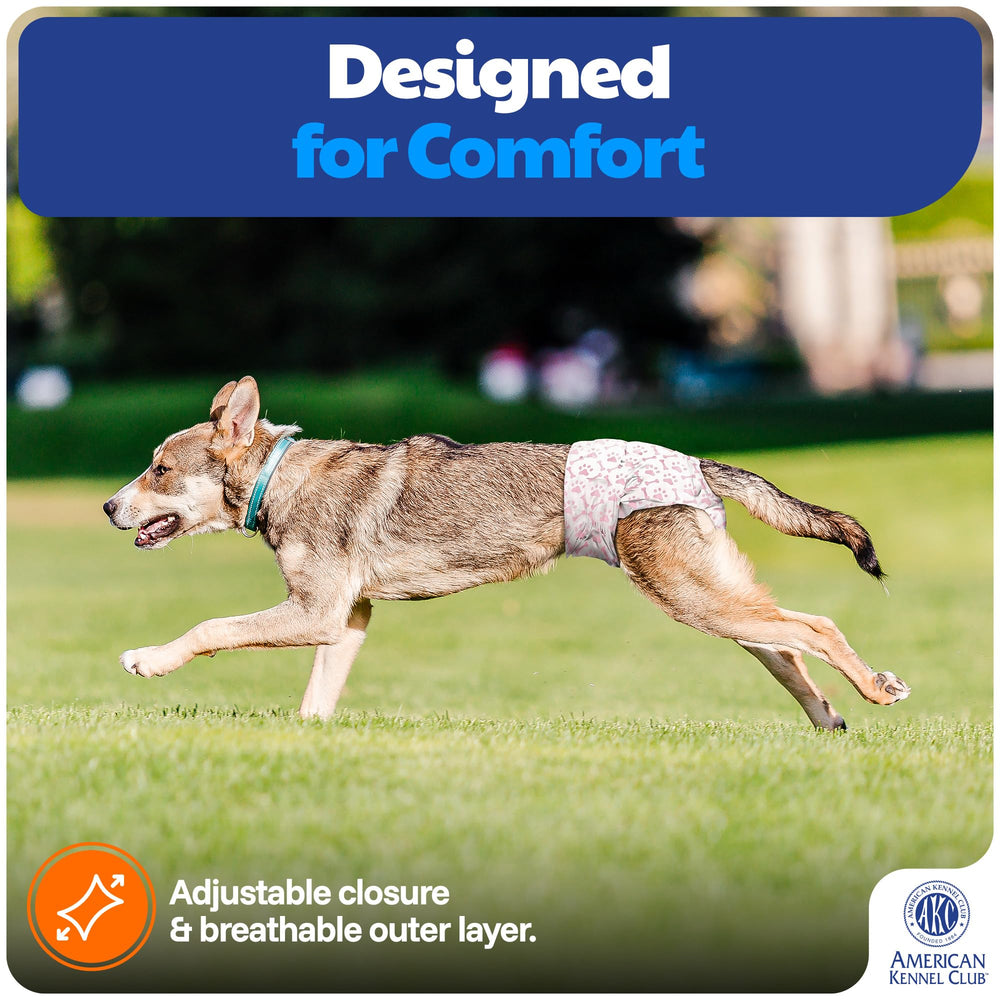 American Kennel Club Fermeture ajustable pour un ajustement sûr et précis.