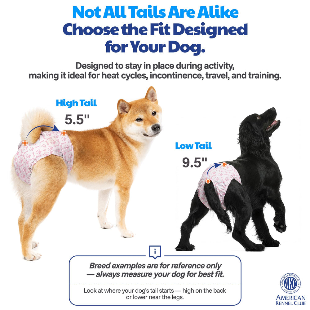 American Kennel Club Couches jetables pratiques lors des déplacements.