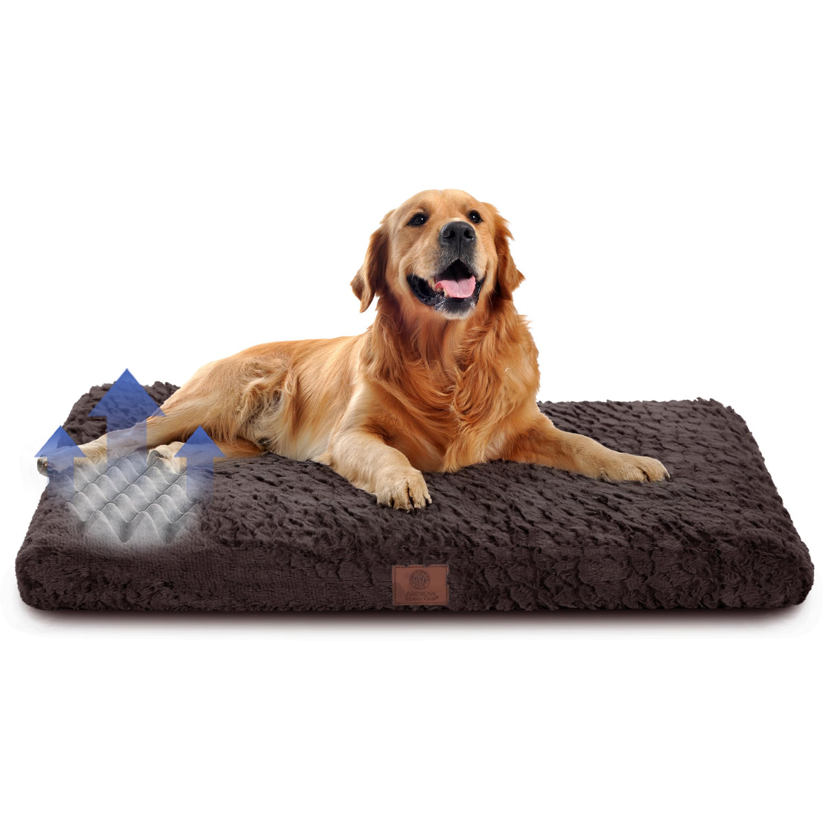 AKC coussin orthopédique en mousse mémoire pour caisse, soutien articulations.