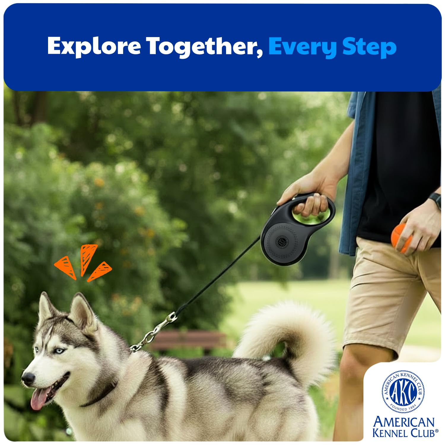 American Kennel Club Laisse en nylon durable pour l’usage quotidien et les aventures.