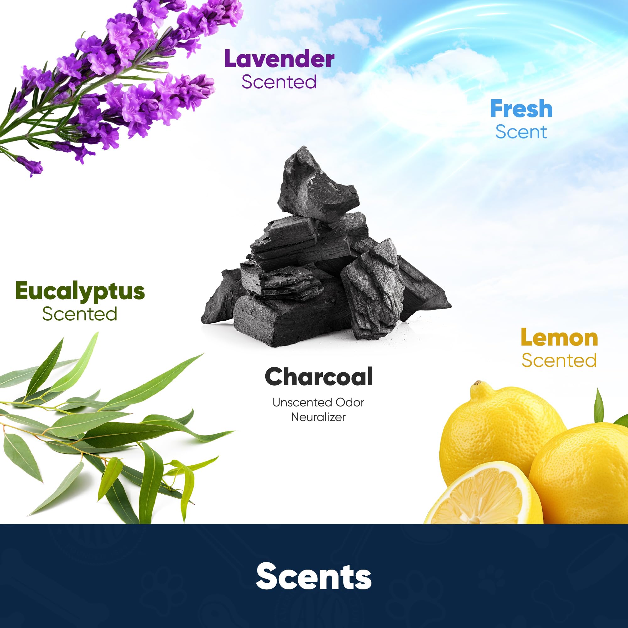 American Kennel Club – format XXL 28x34 pouces pour grands chiens et foyers multi-chiens.