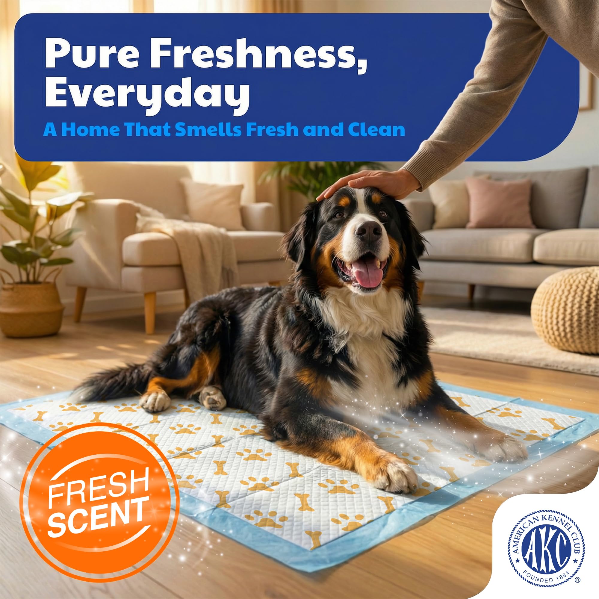 AKC Tapis chiot avance avec formule 3-en-1 attire le chiot.