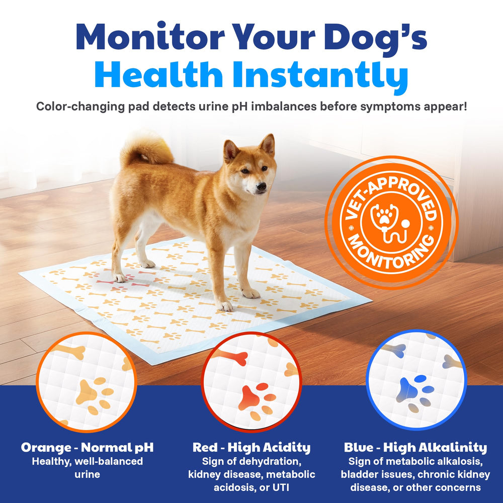 AKC Advanced: absorption-rapide, gel ultra-absorbant retient l'humidité efficacement.