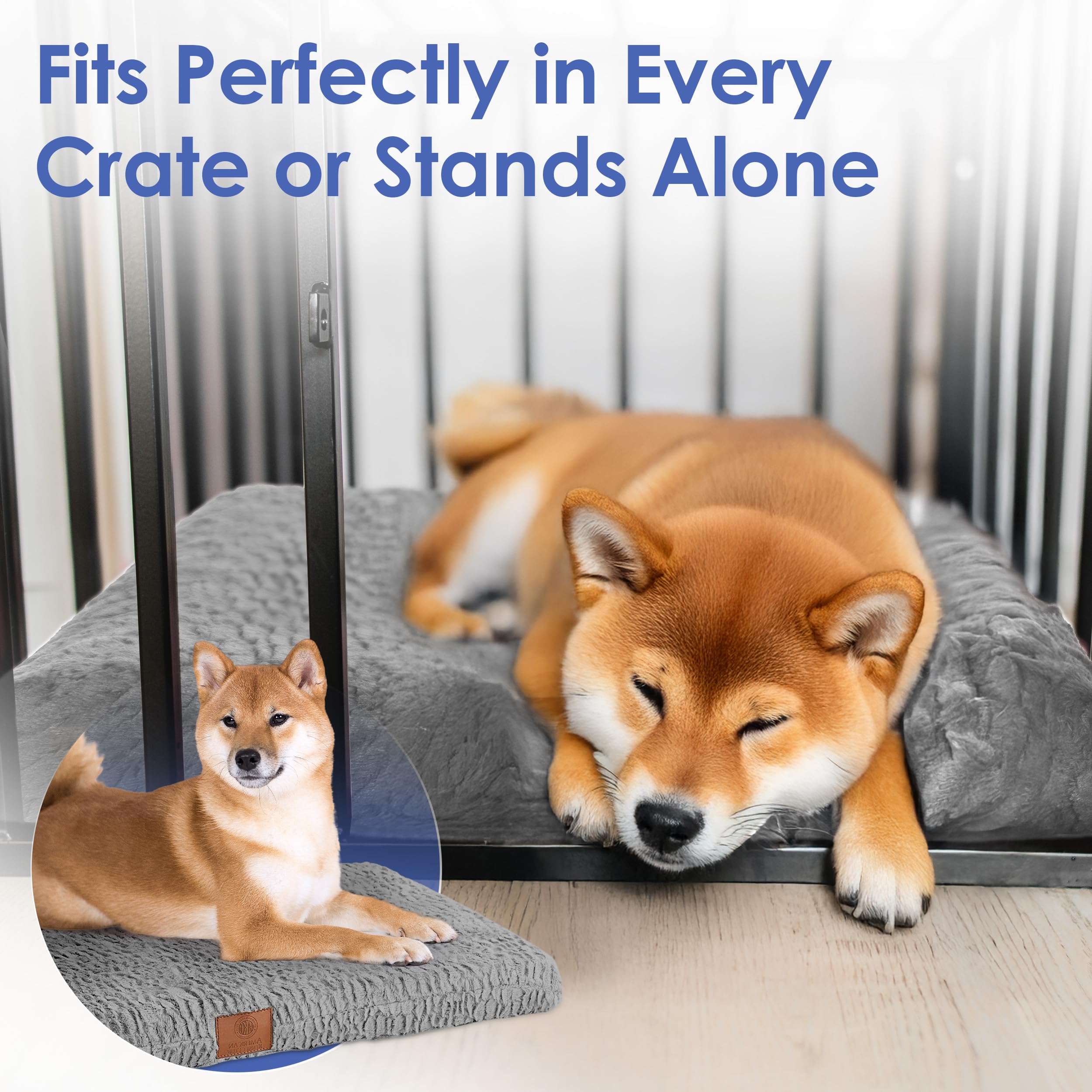 American Kennel Club Tapis gris neutre, s’intégrant facilement à tout décor intérieur.