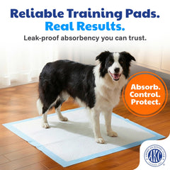 AKC tapis chiot 3-en-1 attractant facilite l'apprentissage de la propreté.