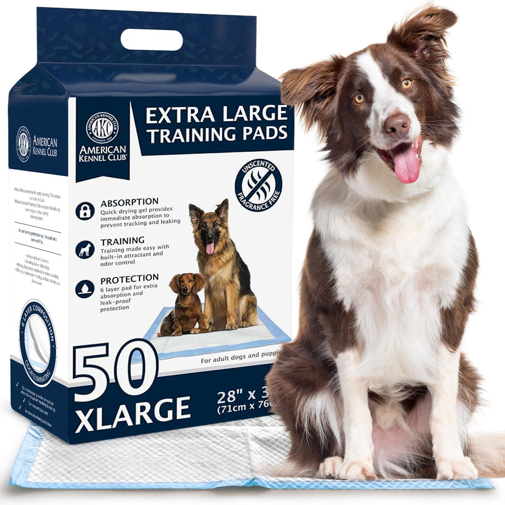 AKC tapis chiot absorbant sechant rapide, pour pattes propres et confortables.