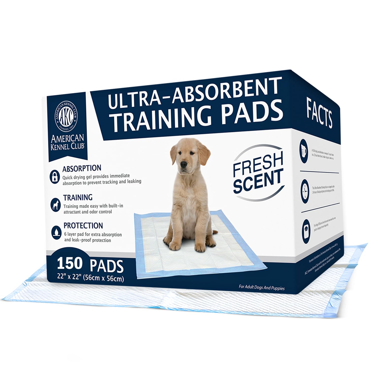 AKC tapis d'entraînement ultra absorbant — vue avant, absorption rapide pour chiens.