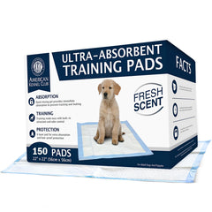AKC tapis d'entraînement ultra absorbant — vue avant, absorption rapide pour chiens.