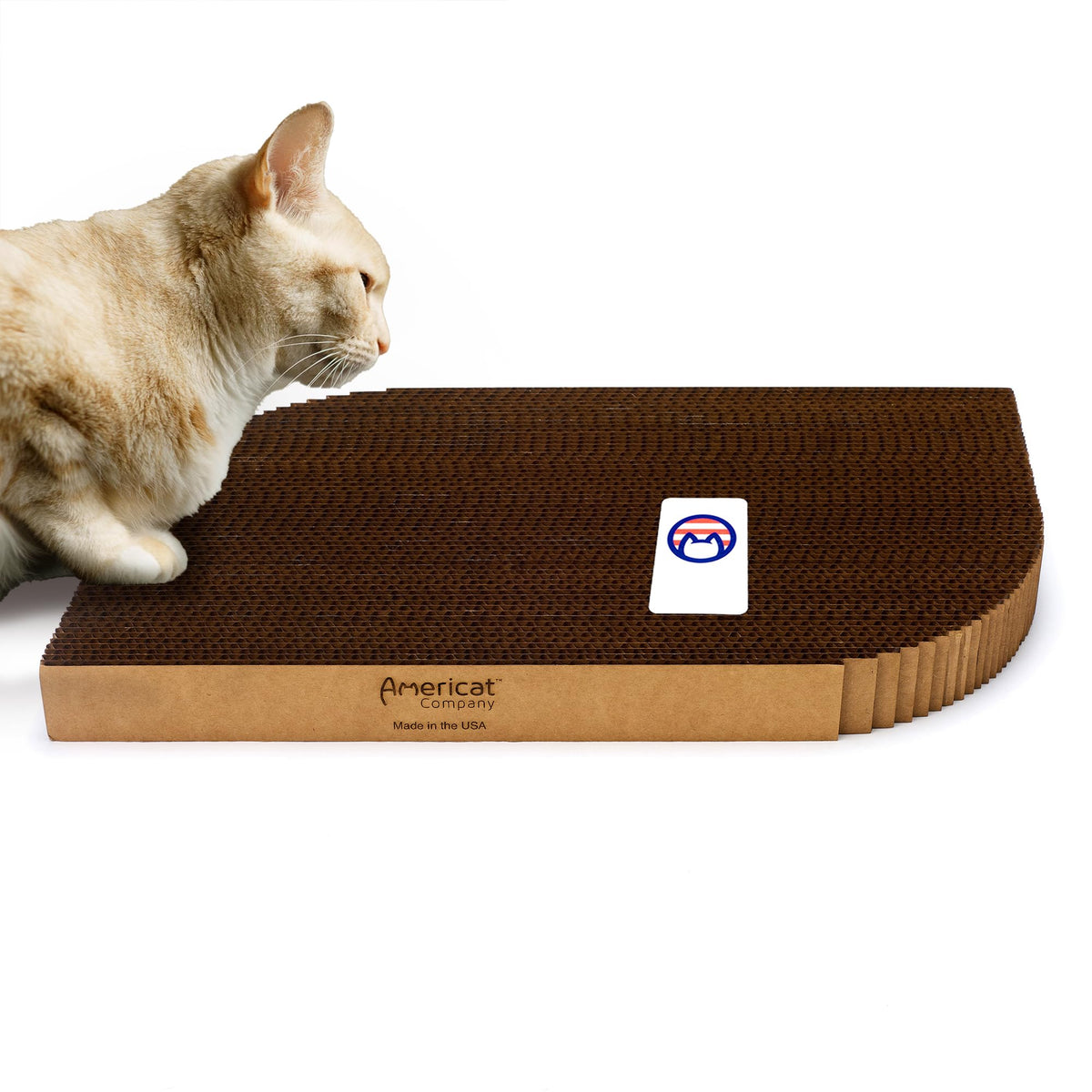 Americat chat-grattoir carton XL — face rectangulaire avant pour grattage durable.