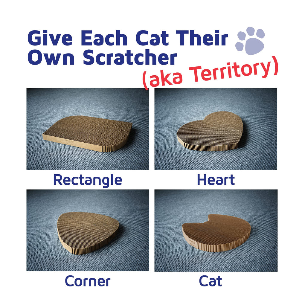Americat dimensions 17x10x1-5 pouces, adapté aux grands chats.