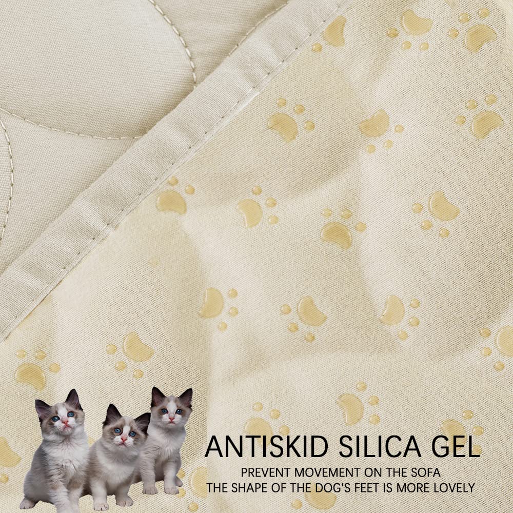 Base anti-dérapage avec patte en silicone Ameritex.