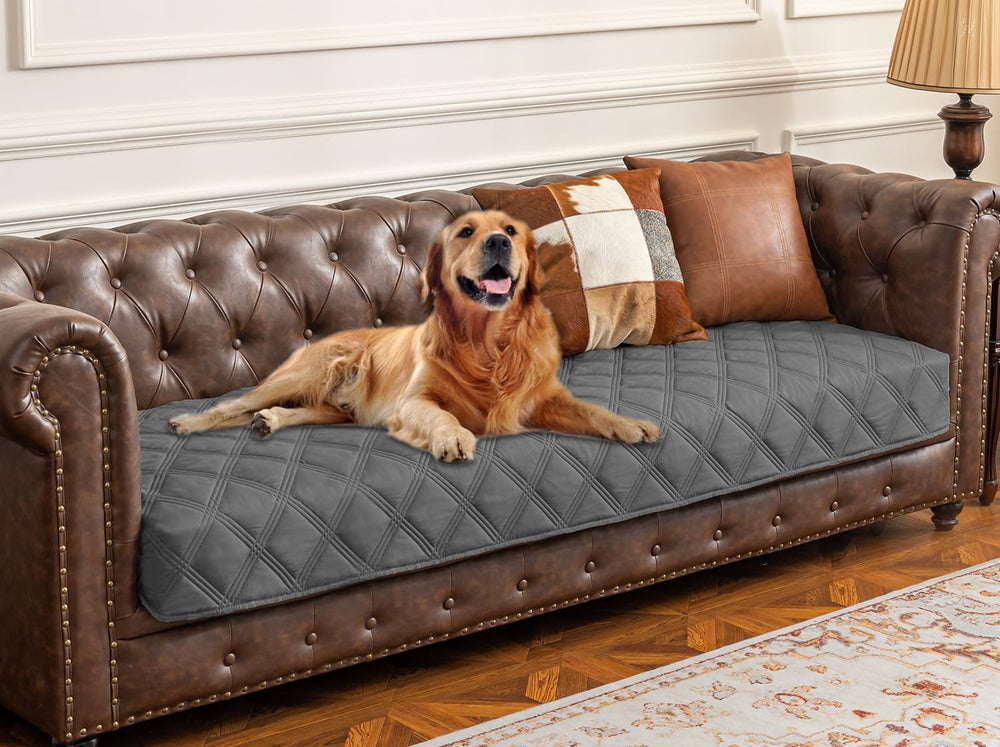 Ameritex couverture chien impermeable pour canapé, protège des liquides et taches.