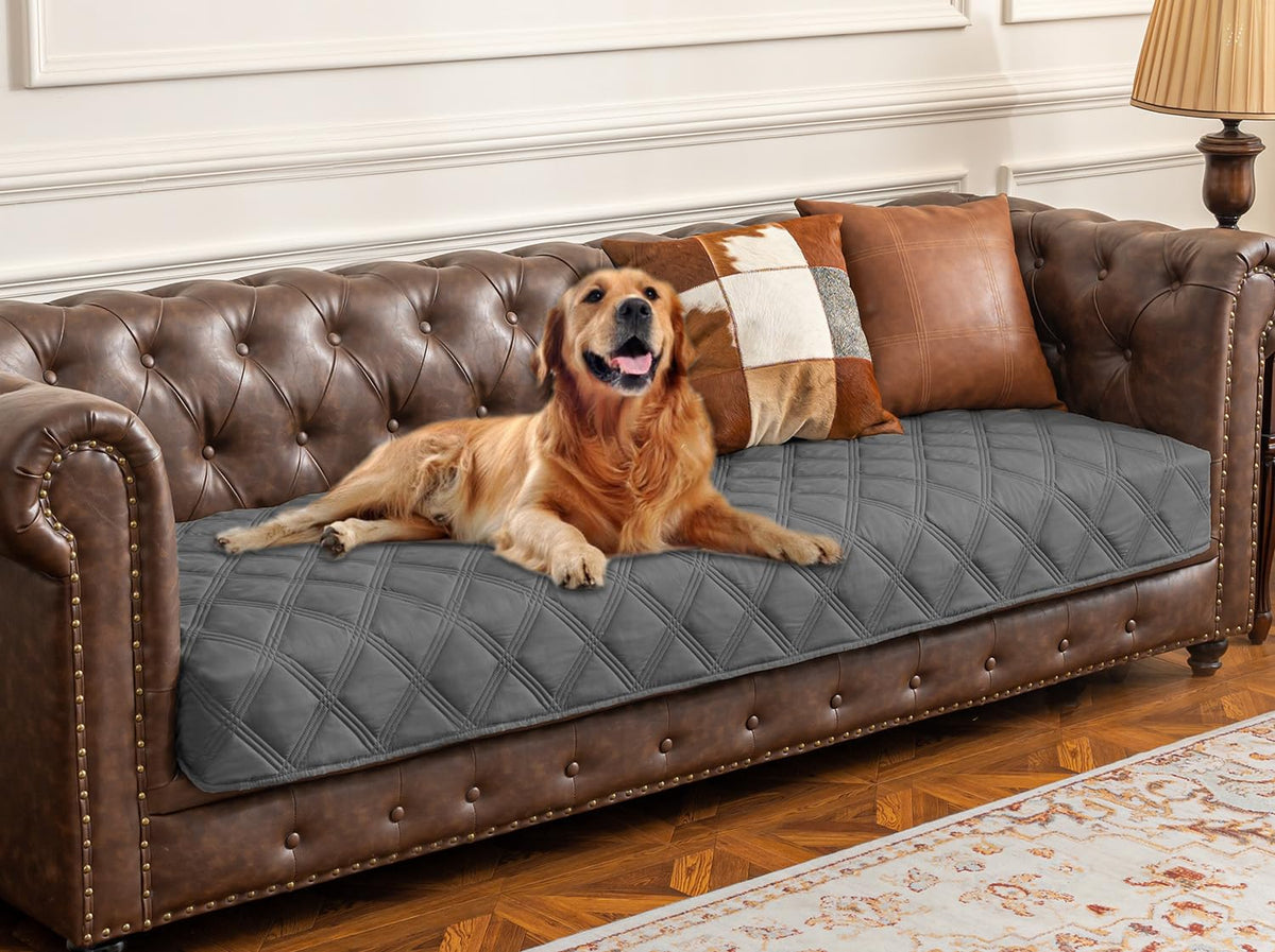 Ameritex couverture chien impermeable pour canapé, protège des liquides et taches.