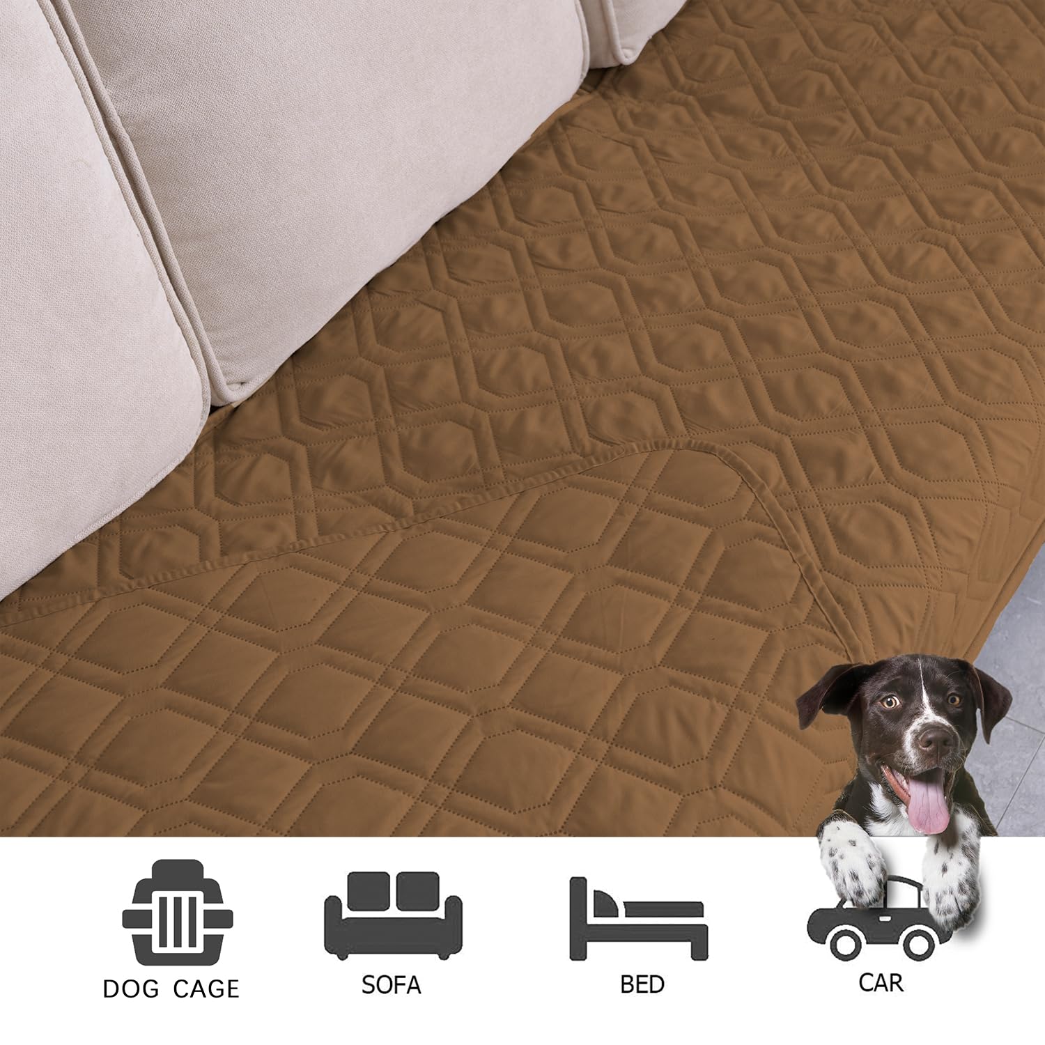 Ameritex couverture douce en microfibre: confort premium pour vous et votre animal.