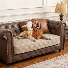 Ameritex couverture imperméable pour chien sur lit, protège contre les liquides.