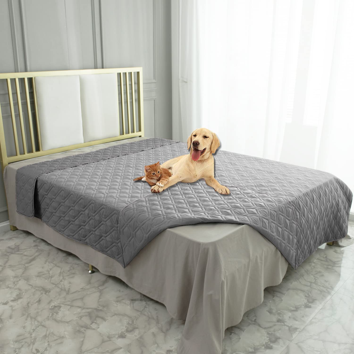 Couverture Ameritex imperméable pour chien sur canapé, protège le mobilier des liquides.