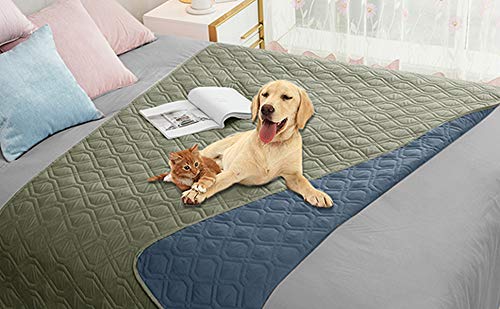 Housse imperméable Ameritex sur canapé avec chien, protège contre les taches.