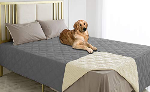 Ameritex housse impermeable chien sur canapé protège le mobilier des taches.