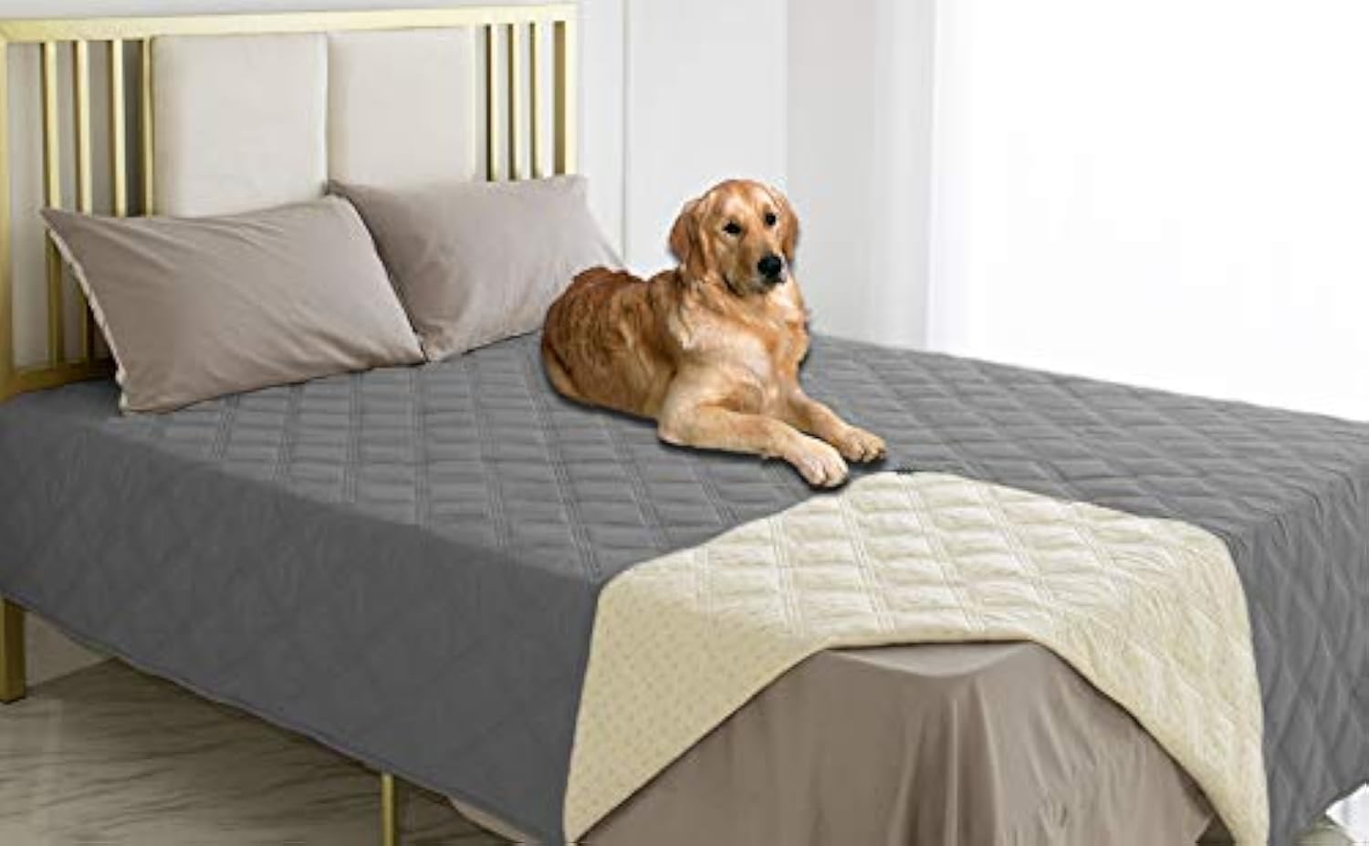 Housse imperméable Ameritex pour chien avec anti-glisse sur canapé.
