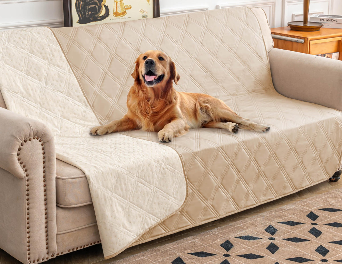 Housse imperméable Ameritex pour chien sur canapé, protection durable.