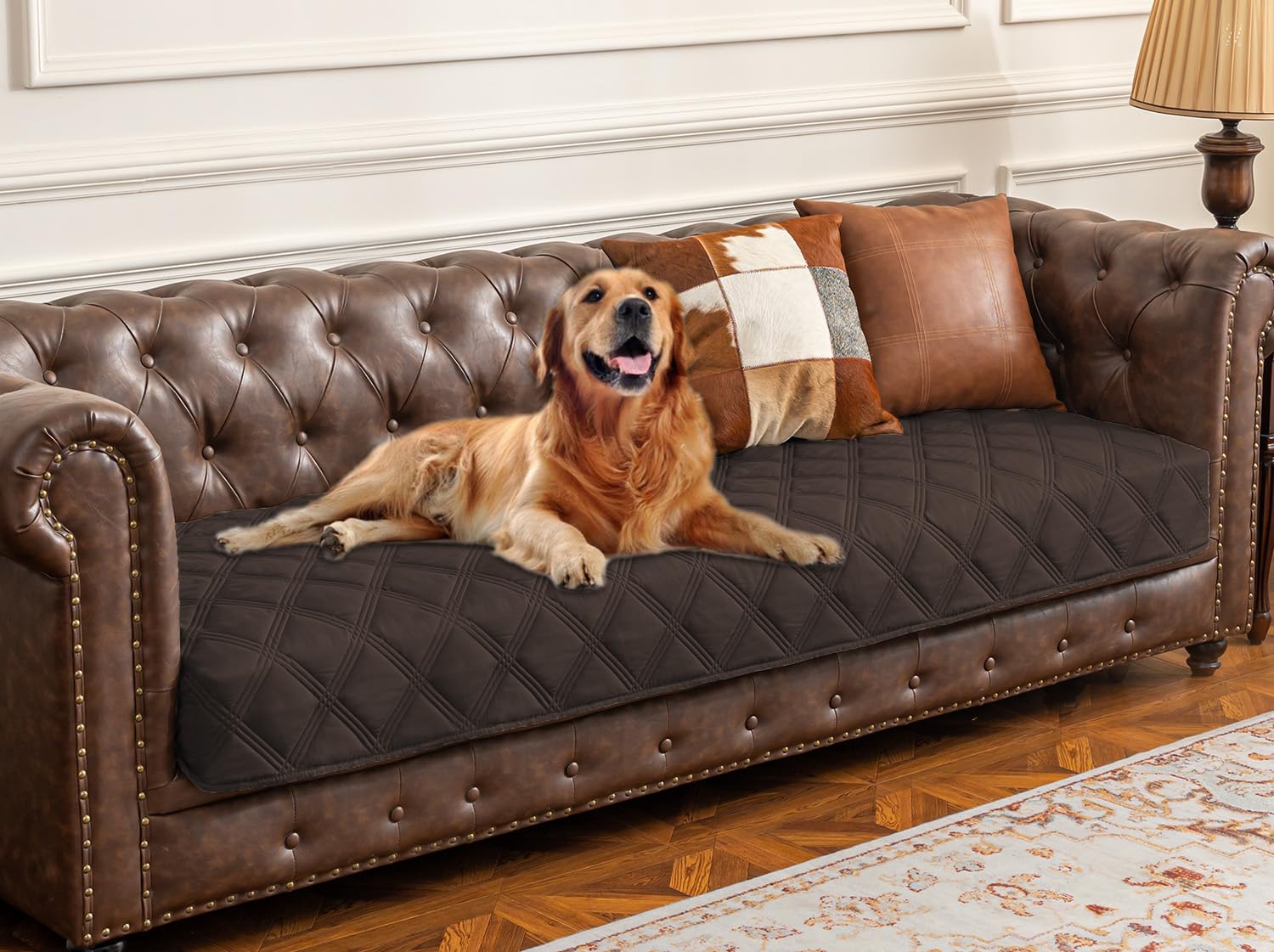 Housse lit chien imperméable Ameritex protège le canapé durablement.