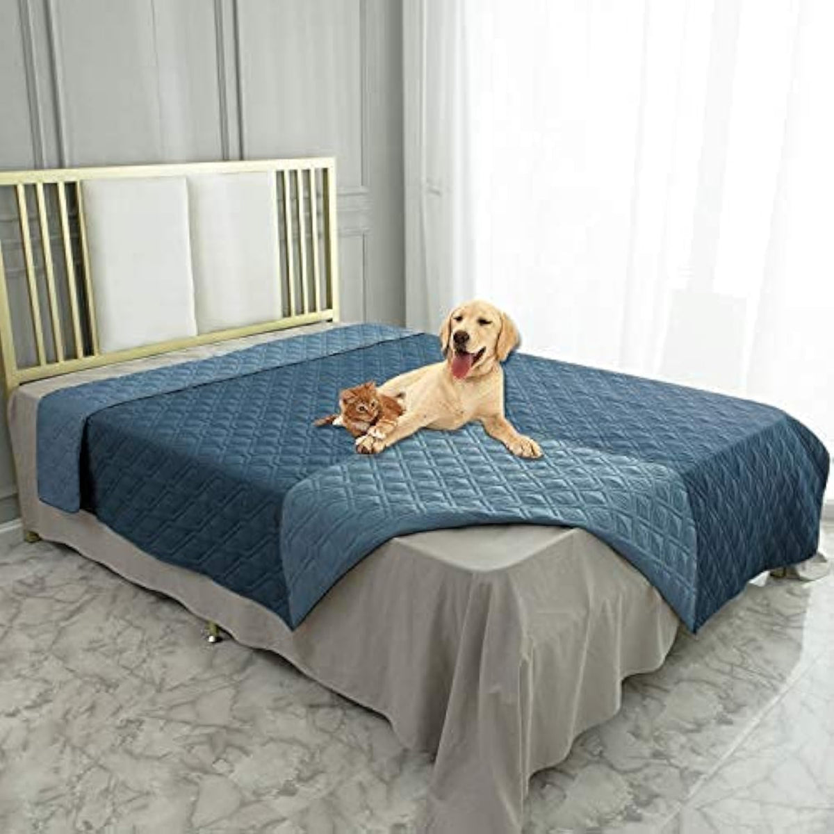 Housse Ameritex pour lit chien imperméable protège meubles et tapis