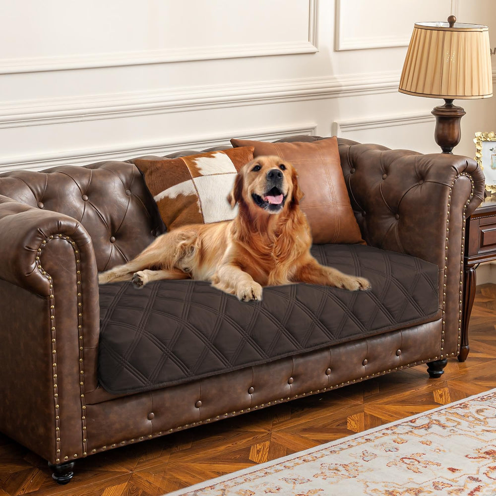 Ameritex housse-lit-chien imperméable protège les meubles des taches et liquides.