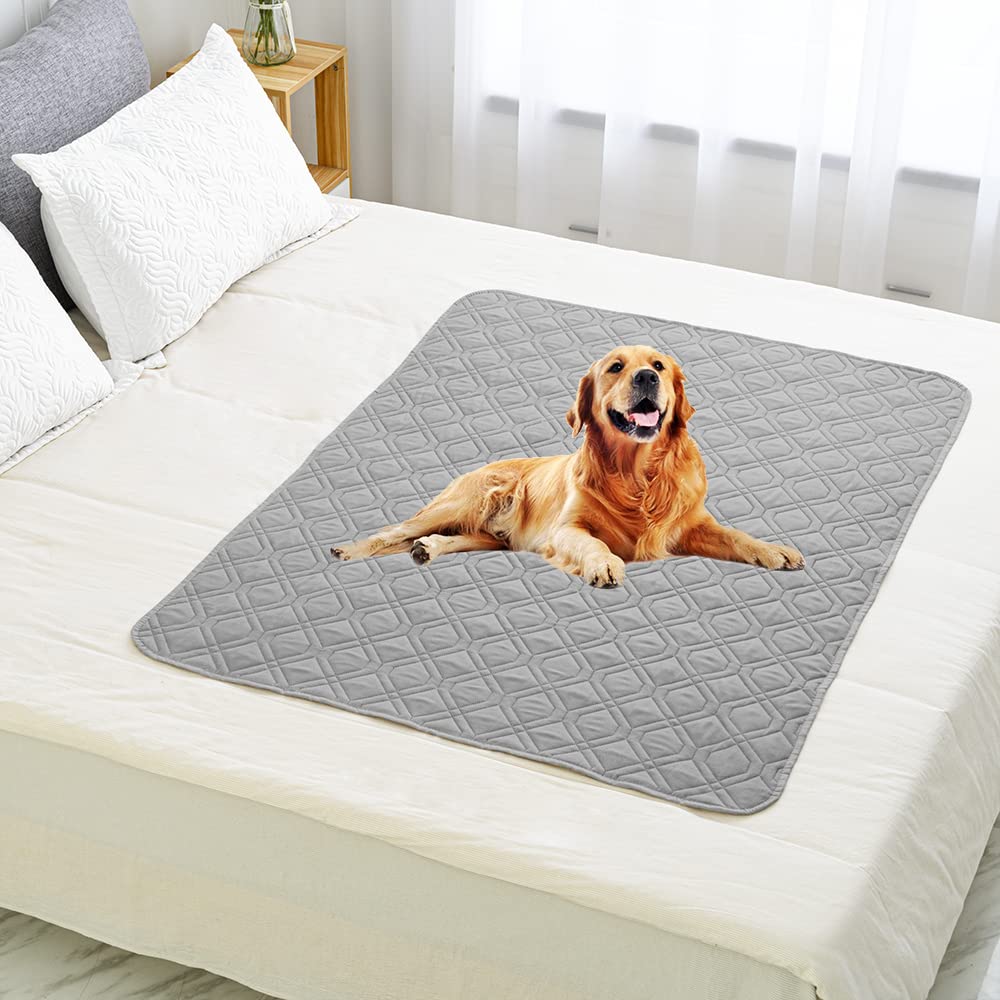 Utilisation polyvalente dans le salon et sur le lit du chien.
