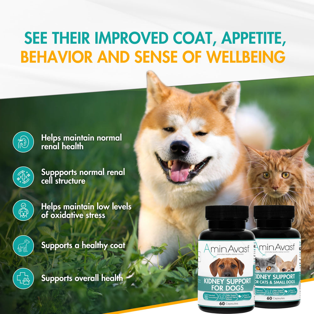 AminAvast – ajout alimentaire chien sans refrigeration nécessaire.