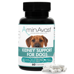 AminAvast – bouteille chien renale, facile a integrer au repas.