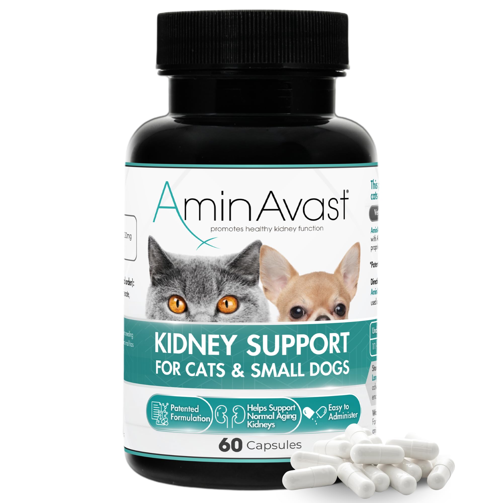 AminAvast – bouteille de comprimés 300 mg pour petits chiens et chats, administration aisée.