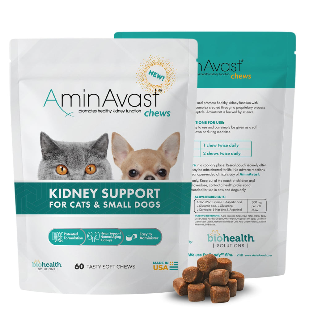 AminAvast : bouteille de friandises souples, soutien rénal potentiel pour chats et petits chiens.