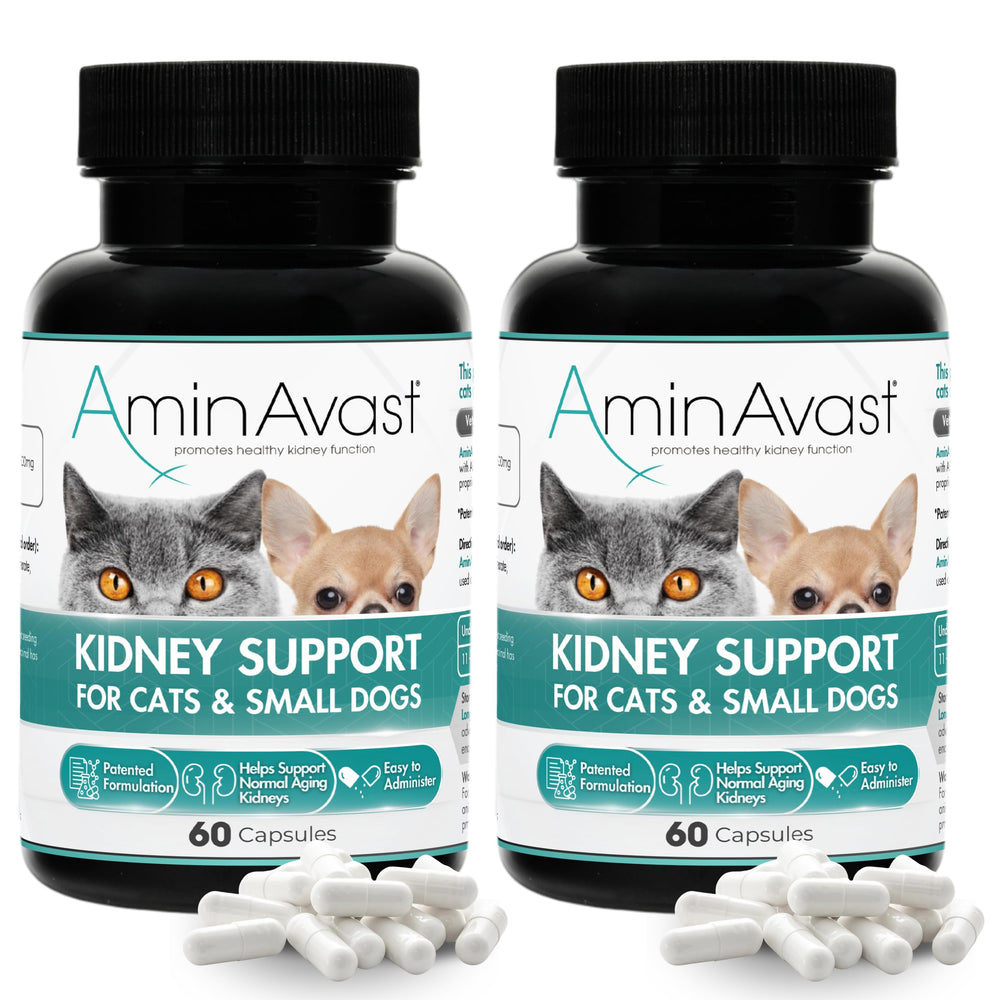 AminAvast – bouteille de soutien rénal, pratique pour animaux.
