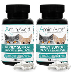 AminAvast – bouteille de soutien rénal, pratique pour animaux.