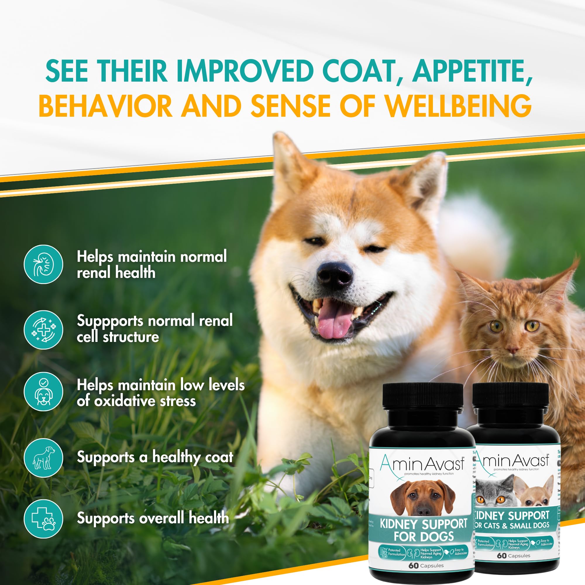 AminAvast – capsules brisables dans l alimen tation, usage quotidien pratique.