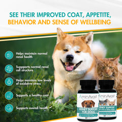 AminAvast – capsules brisables dans l alimen tation, usage quotidien pratique.