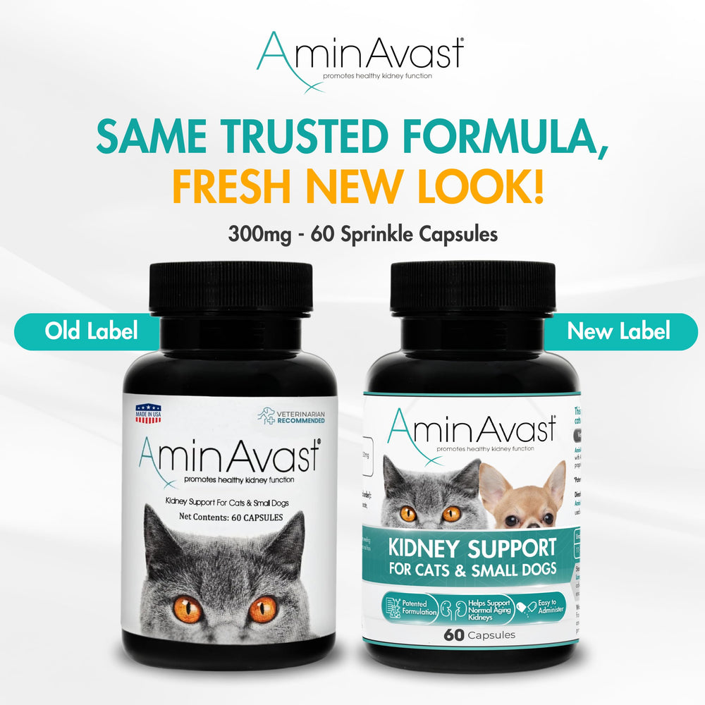 AminAvast – capsules saupoudrables sur nourriture, prise quotidienne aisée.