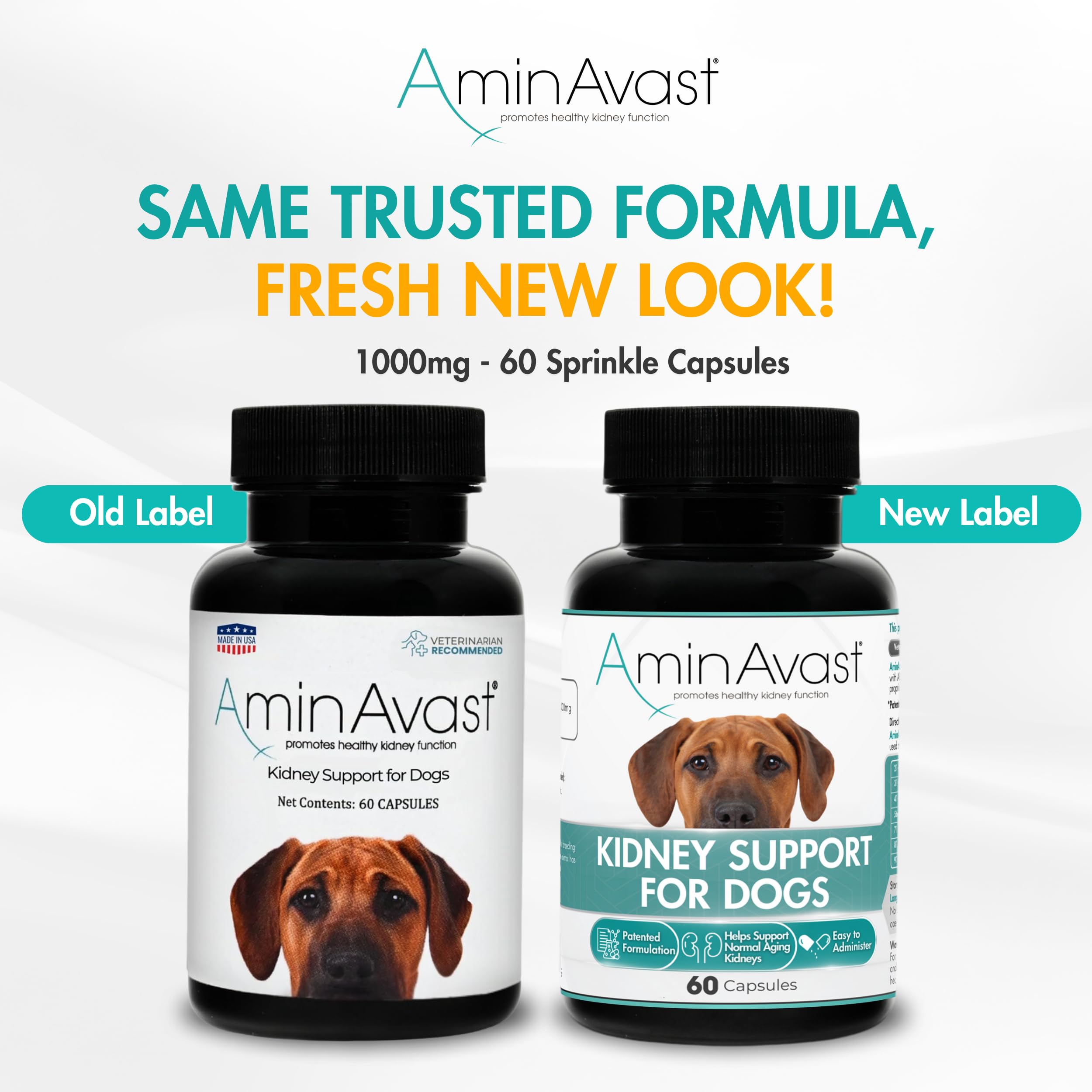 AminAvast – capsules sprinkle pour chien, faciles à ajouter au repas.