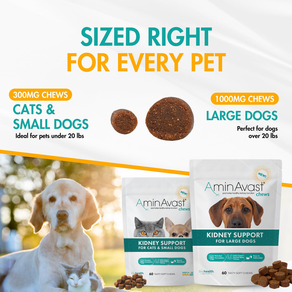 AminAvast Chien-bocal-aminavast: emballage lisible et stockage pratique