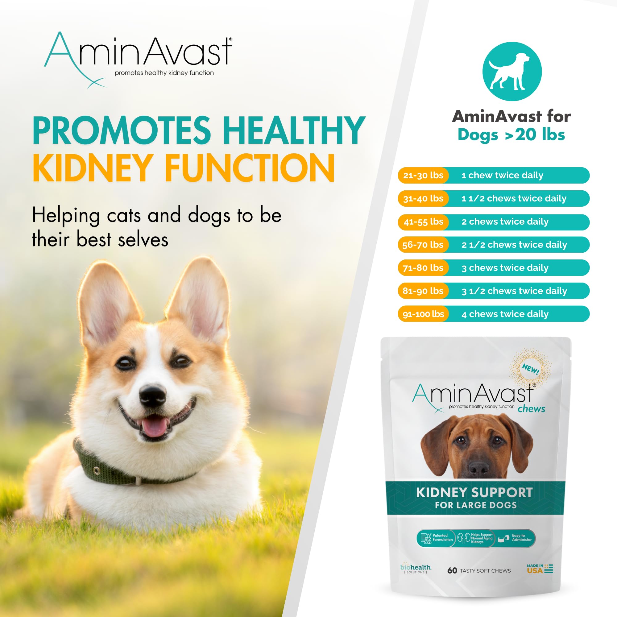 AminAvast Chien-forme-molle: texture agréable lors de l'administration