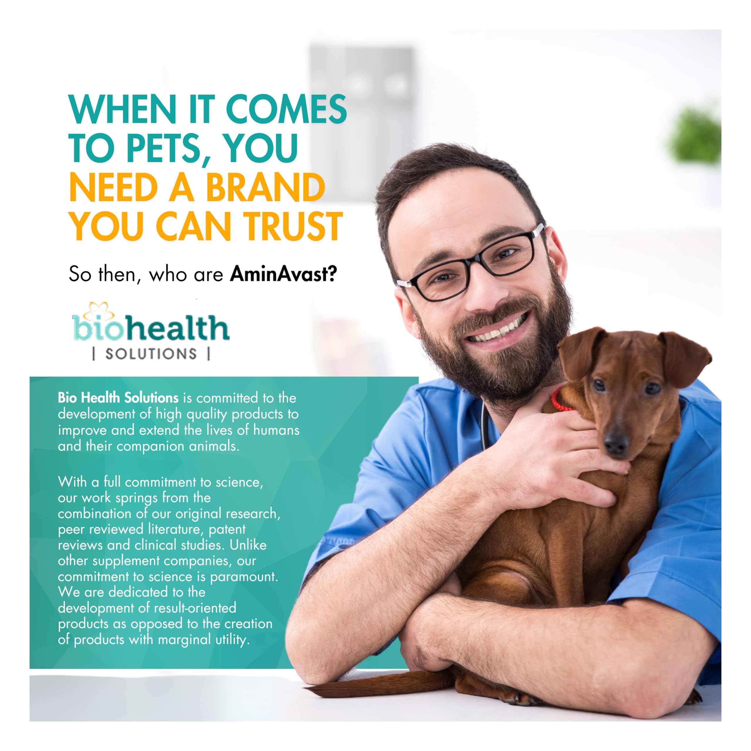 AminAvast Chien-friandises-dans-bol: présentation agréable pour le chien