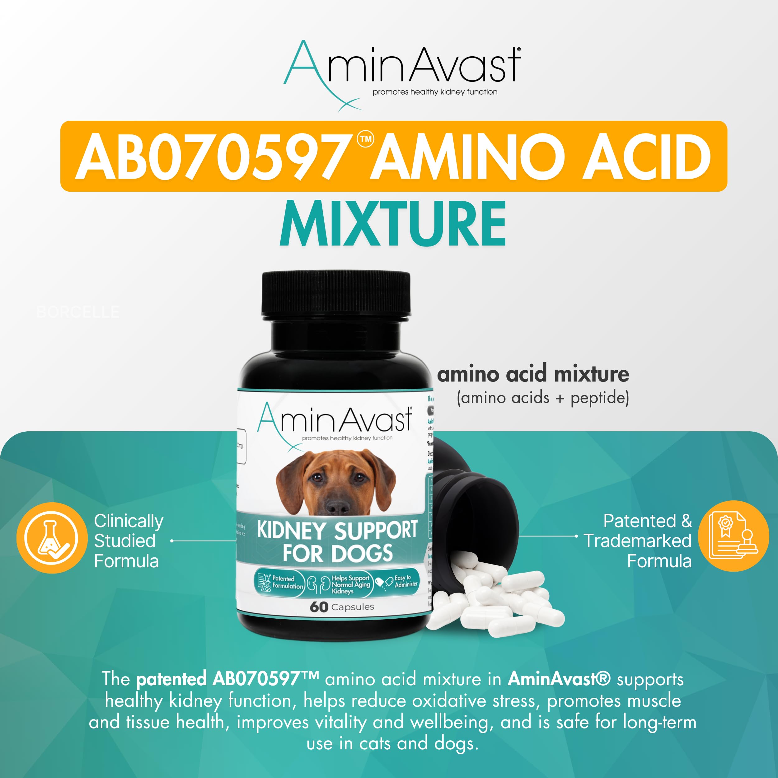 AminAvast – emballage NASC et etiquette pour la traçabilité.