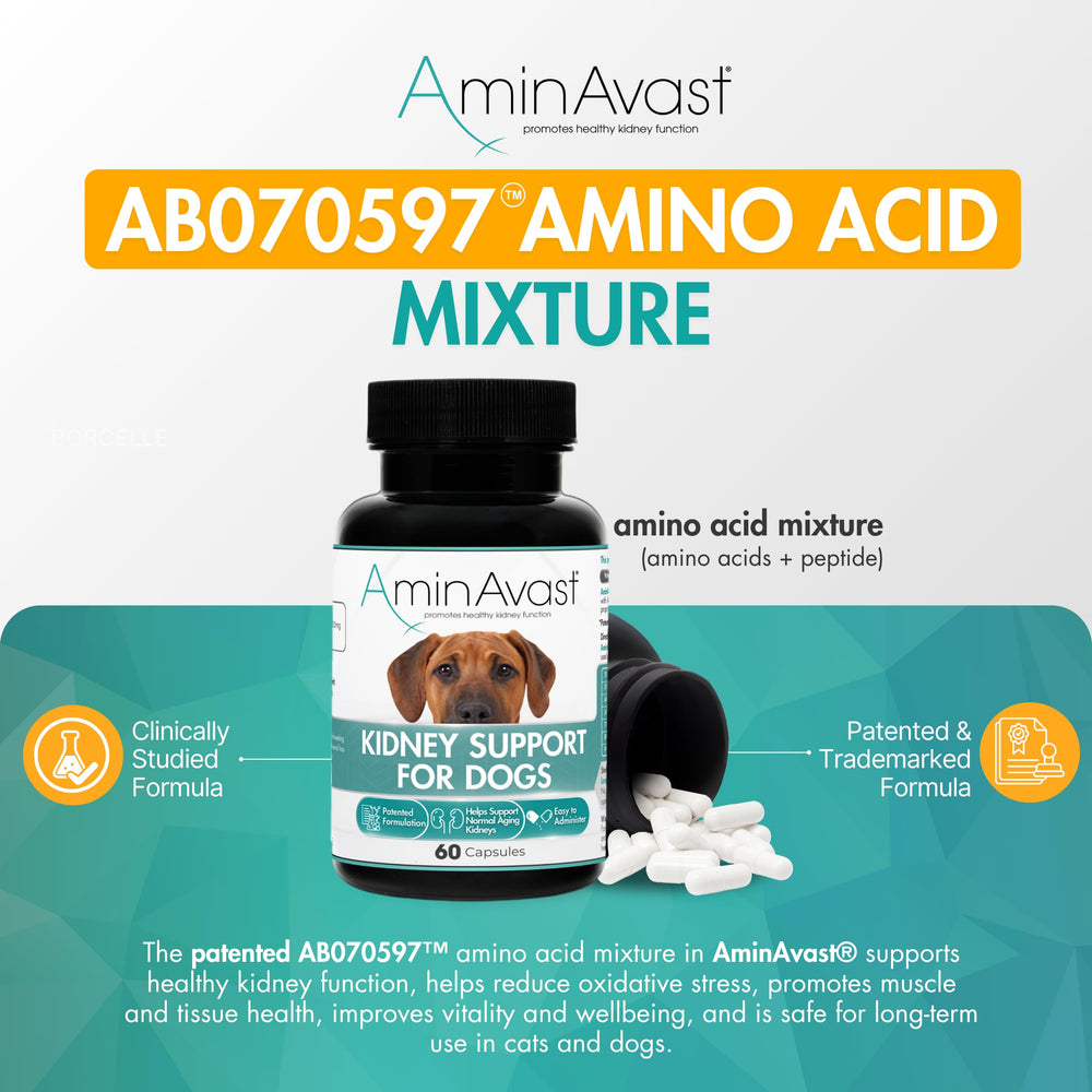 AminAvast – formule brevetee soutenant les fonctions renales naturellement.