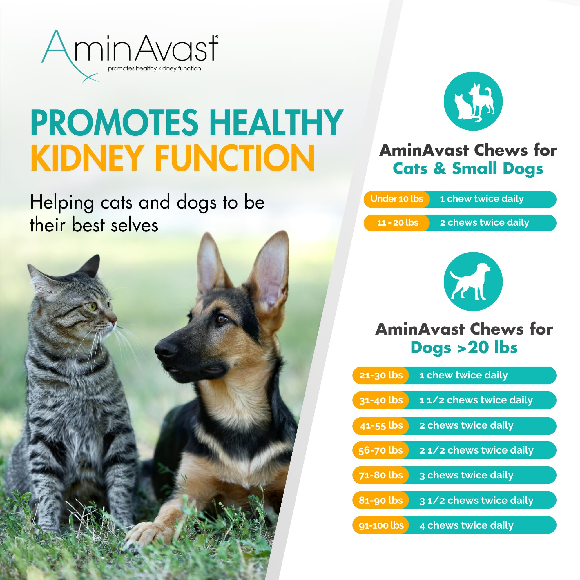 AminAvast : soutien du pelage et vitalité pour chiens et chats.