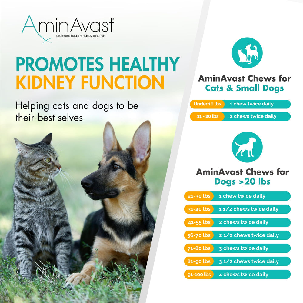 AminAvast : soutien du pelage et vitalité pour chiens et chats.